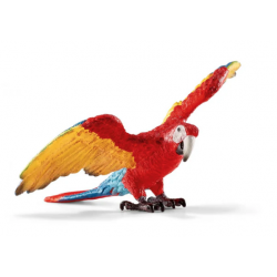 Macaw