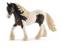Tinker Stallion