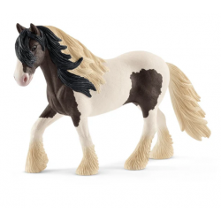 Tinker Stallion