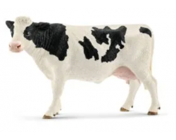 Holstein Cow