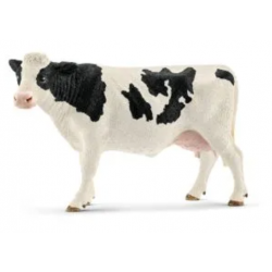 Holstein Cow