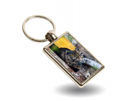 Key Ring- Bua