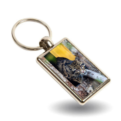 Key Ring- Bua