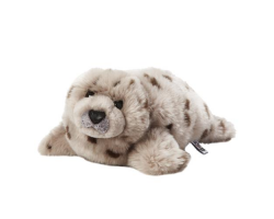 Plan Harbor Seal Large