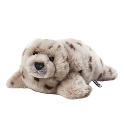 Plan Harbor Seal Large