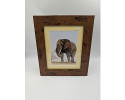 A brush with Africa Elephant (1D) Framed