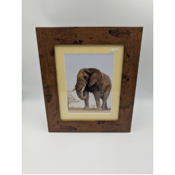 A brush with Africa Elephant (1D) Framed