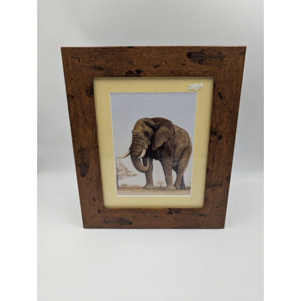 A brush with Africa Elephant (1D) Framed