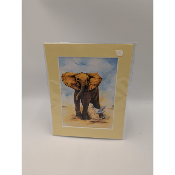 A brush with Africa Elephant (1F)