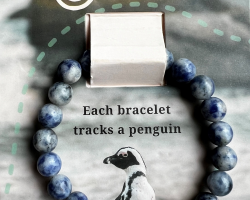 Penguin Fahlo Tracking Bracelet