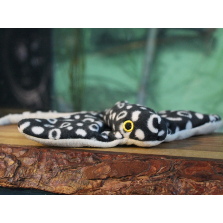 Mini spotty black and white eagle ray soft toy with white underbelly.