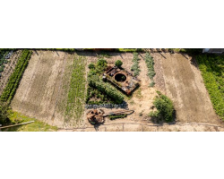 When you make your purchase, you will be emailed the viewing link and password within an hour.