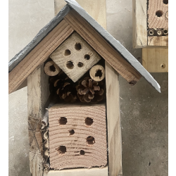 Bug House