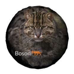 Slate Coaster- Boson