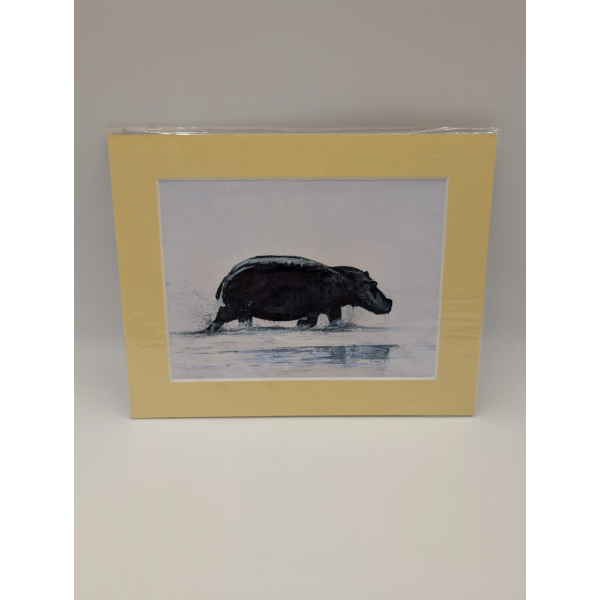 A brush with Africa Hippopotamus