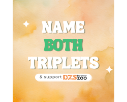 Name all 6 of our newborns!