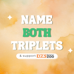 Name all 6 of our newborns!