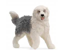 Old English Sheepdog
