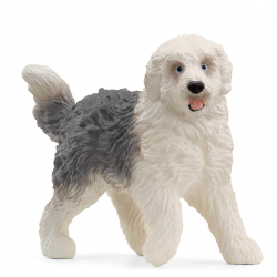 Old English Sheepdog