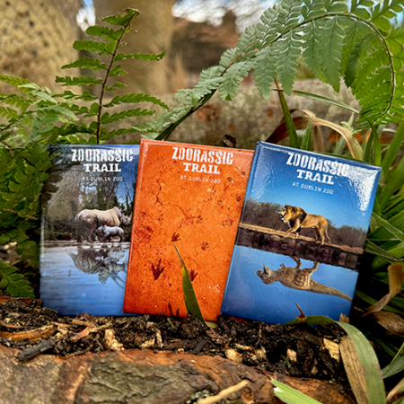 Zoorassic Trail Set of 3 Magnets