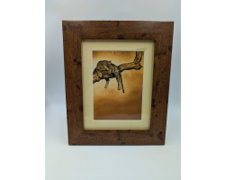 A brush with Africa Jaguar in Tree Framed