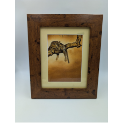 A brush with Africa Jaguar in Tree Framed