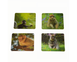 3D Bespoke Monkey Forest Magnets