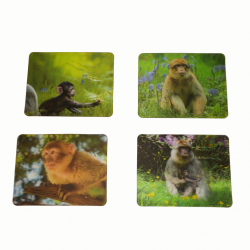 3D Bespoke Monkey Forest Magnets