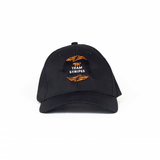 TEAM STRIPES Baseball Cap RePet