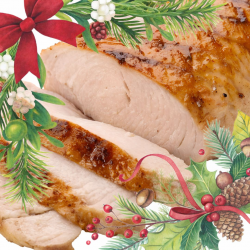 Rolled Turkey Breast