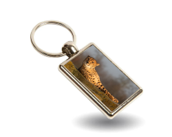 Key Ring- Bolt