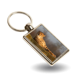 Key Ring- Bolt