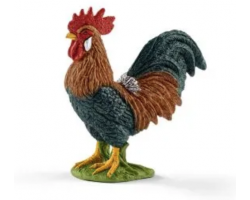 Rooster