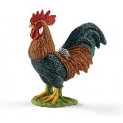 Rooster