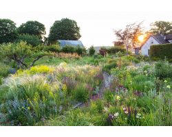 Watch | An Evening with Peter Korn and John Little | 18.11.25