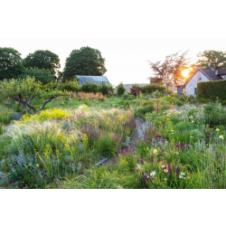 Watch | An Evening with Peter Korn and John Little | 18.11.25