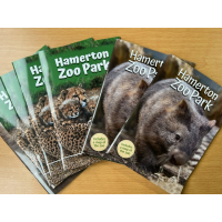 Guide Book and 2023 Review