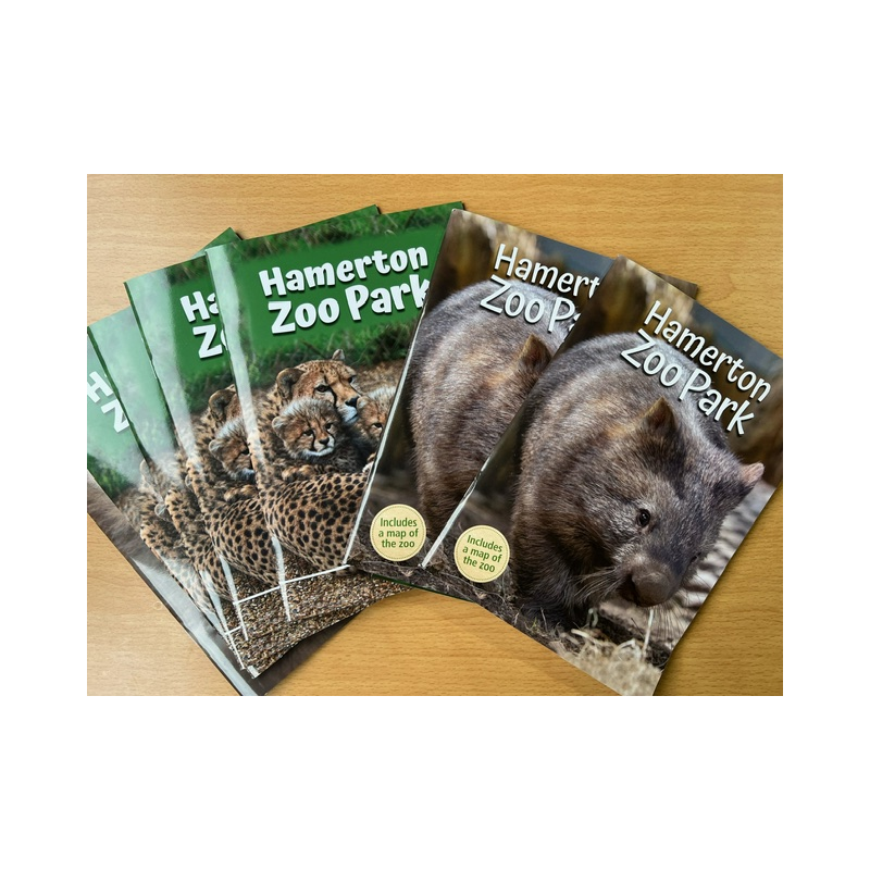 Guide Book and 2023 Review Offer