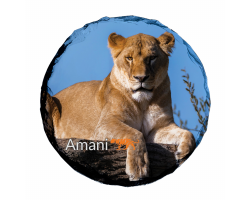 Slate Coaster- Amani