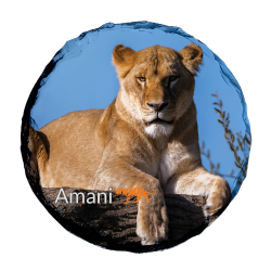 Slate Coaster- Amani