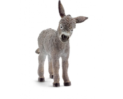 Donkey Foal