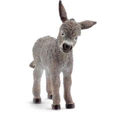 Donkey Foal