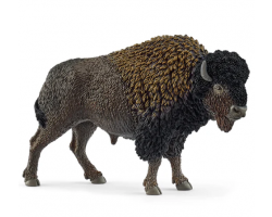 Bison