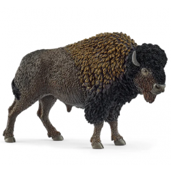 Bison