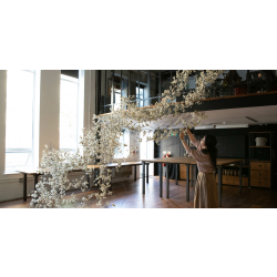 Watch | Winter Flowers Week 2025 | Meet the Designers Panel Talk