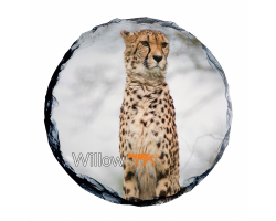 Slate Coaster- Willow