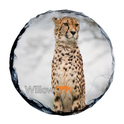 Slate Coaster- Willow