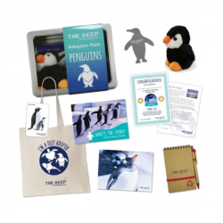 Penguin Adoption Pack