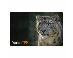 Magnet - Yarko