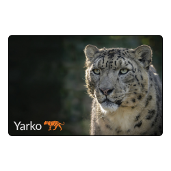 Magnet - Yarko